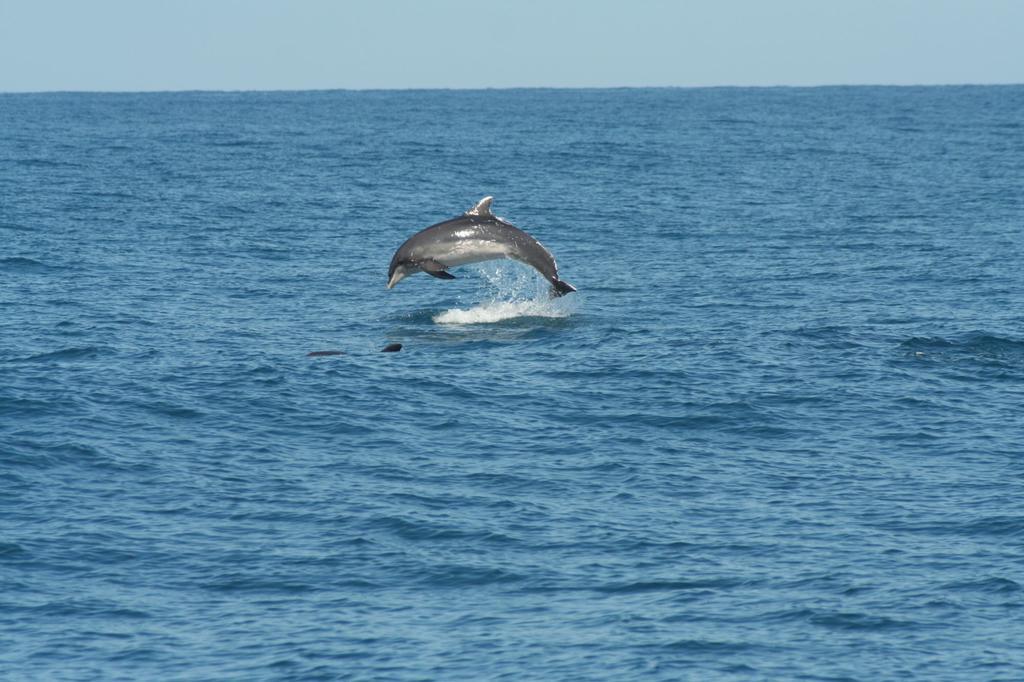 Vacanze A Viareggio Bilik gambar
