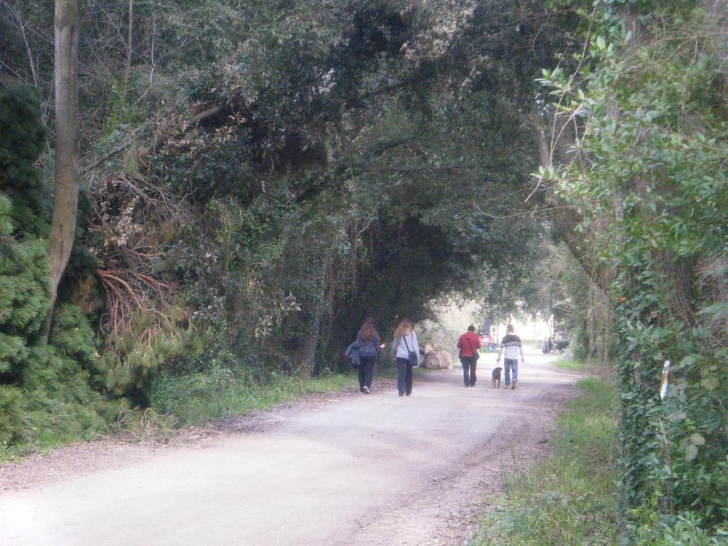 Vacanze A Viareggio Bilik gambar